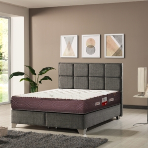 تشک تن اسای مدل اسپینو